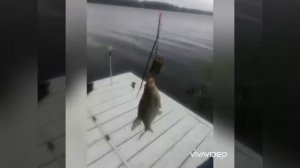 Рыбалка в Кимрах