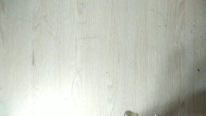 РОГАТКА - ЧТО ЗА РЫБОЛОВНАЯ СНАСТЬ?.Снасть летняя жерлица. Рогулька. Рогатка. Ловля щуки на живца.