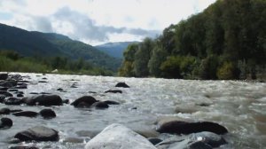 Покуда  кровь по  жилам  а  не квас ...