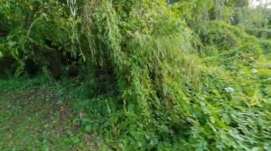 По местам динозавров . Безумно красивая природа Австралии.Элла Австралия .