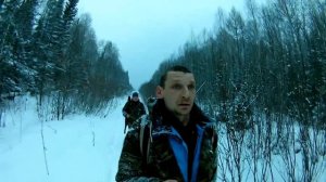 Лось. Как определить возраст лося.