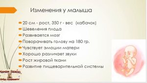 22 неделя беременности: изменения, особенности, рекомендации