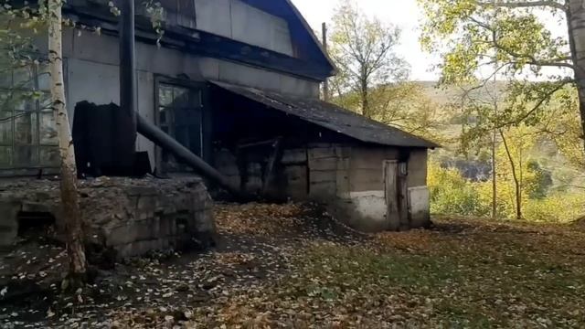 Первые морозы. Как с пользой провести выходной день. Сосновый лес на участке. смотреть онлайн