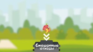 Как правильно разделять отходы