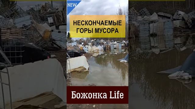 Куриная ферма. натуральный продукт. новгородский бекон. божонка