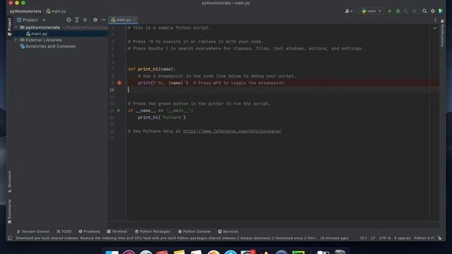 3. Writing Your First Python Script: A Beginner's Guide #howto