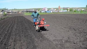 Посадка картофеля мотоблоком НМБ-1Н1 "Угра" с картофельной сажалкой КАДВИ