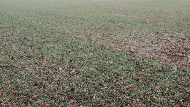 Итоги урожайности 2021 смотреть онлайн