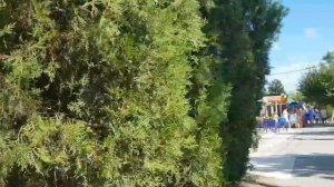 АНАПА ДЖЕМЕТЕ прогулка по ПИОНЕРСКОМУ ПРОСПЕКТУ от 1 Проезда до Джеметинского