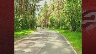 В Заельцовском парке Новосибирска завершается масштабная реконструкция