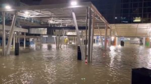 Аэропорт Окленда затопило из за проливного дождя, обрушившегося на крупнейший город Новой Зеландии