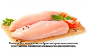 Куриное филе в мультиварке: 26 домашних рецептов