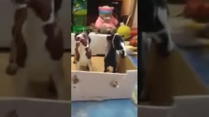 Новые лошади игрушки