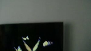 wharfedale diamond 9.6