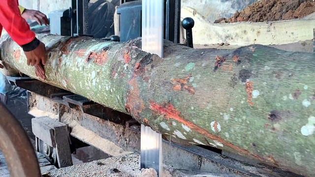 Gara gara kayu ini saya hampir bangkrut dan di titik inilah yang jadi penyebabnya смотреть онлайн