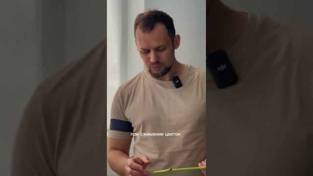 Как ухаживать за срезанными ПИОНАМИ, чтобы они простояли дольше?