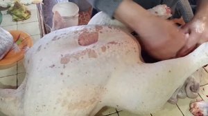 Убираю индюков. Потрошение индейки.