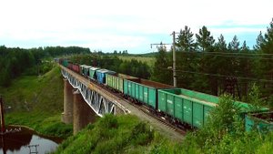 "Помощник поросёнок". ВЛ11-124/125 А с грузовым поездом