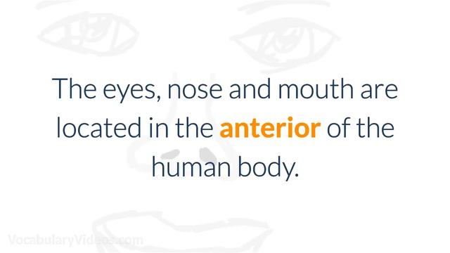 🚪 Learn English Words - ANTERIOR - Meaning, Vocabulary Lesson with Pictures and Examples смотреть онлайн