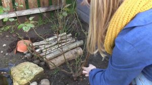 Jobs to do in the Allotment Garden - February