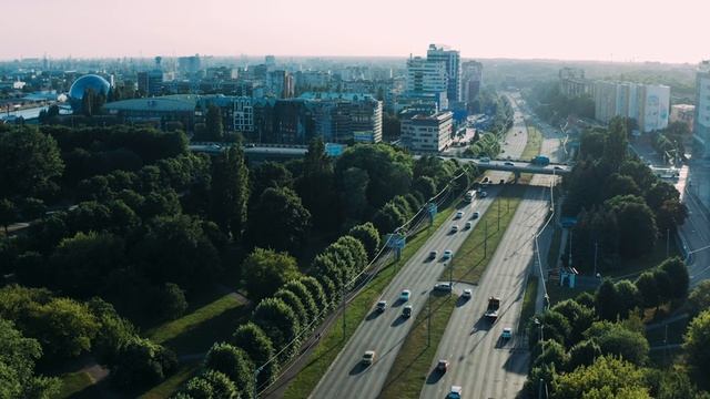 Служба в Госавтоинспекции