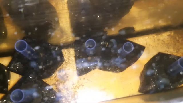 подготовка эйрлифтов для отсадников.зачем,как,где готовить? смотреть онлайн