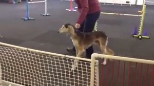 Agility - Oops