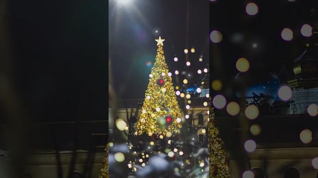 🎄 Что за сказка - этот город ✨ #казань #новыйгод #красиво #зима #город #кремль #счастье смотреть онлайн