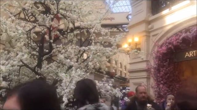 ВОТ ИДЕТ ПО СВЕТУ ЧЕЛОВЕК-ЧУДАК. смотреть онлайн