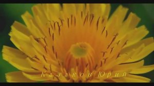 Самая красивая и спокойная музыка.