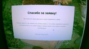 Как заказать пчелопакеты через интернет. Заказал пчёл карника сидя дома.