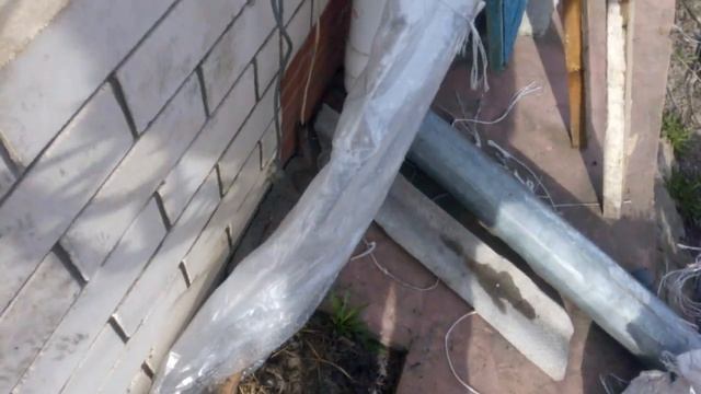 Пробуждение почек на лозе. смотреть онлайн