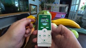 Проверяем фрукты и овощи на нитраты. Обзор нитратометра.