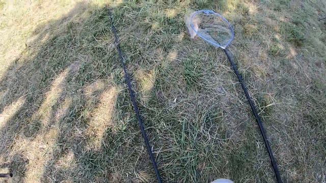 Риболовля на платній водоймі