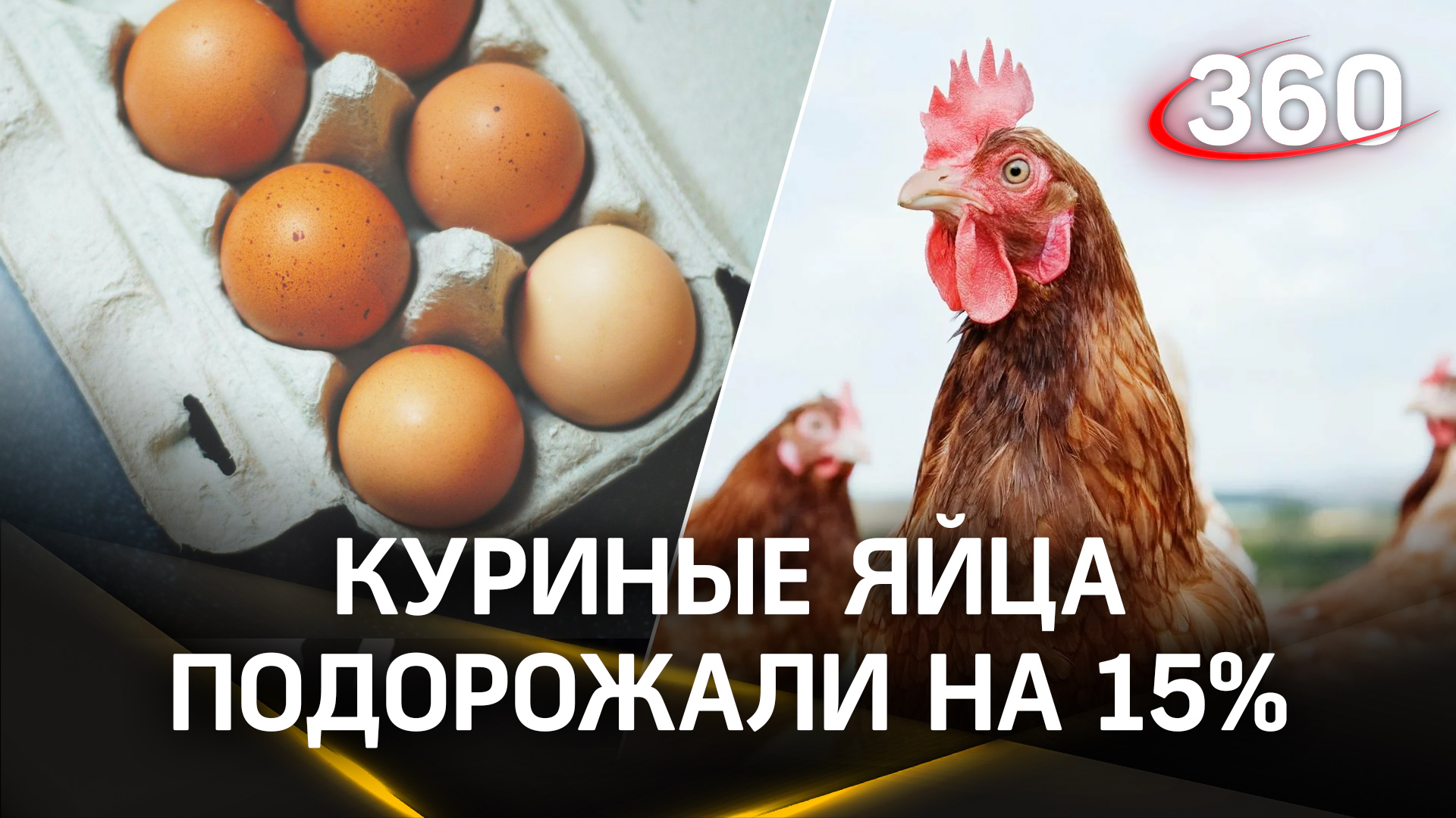 Уже 130 рублей. Куриные яйца в России в ноябре подорожали на 15%