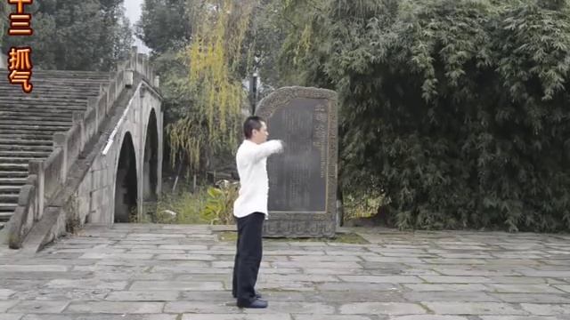 大雁气功前64式蔡贵江 смотреть онлайн