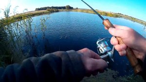 ЛОВЛЯ РОТАНА НА СПИННИНГ|МОРМЫШИНГ В БОЛОТЕ