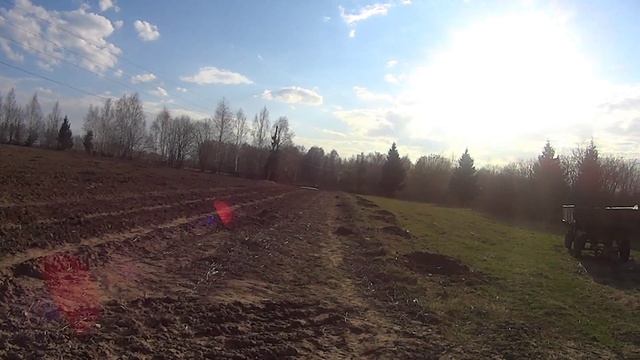 Весенняя посадка лука смотреть онлайн