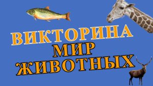 Викторина "Мир животных"