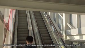 Попугай улетел на улицу, SOS!