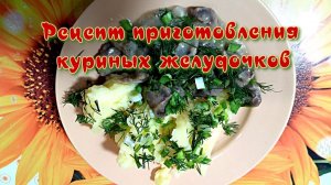 Рецепт приготовления куриных желудочков