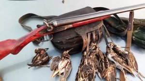 Охота на ГАРШНЕПА с ЛЕГАВОЙ и ТОЗ БМ на осенних высыпках. На болотно-луговую дичь с КУРЦХААРОМ!.mp4