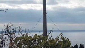 ЯЛТА ПРОГУЛКА ПО " АНИИ ИМ. И.М. СЕЧЕНОВА" ЧТО ОСТАЛОСЬ А ЧТО ПРОДАЛОСЬ