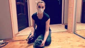 Стрижка котов (грумер) Как стригут котов,котиков,все о стрижке!