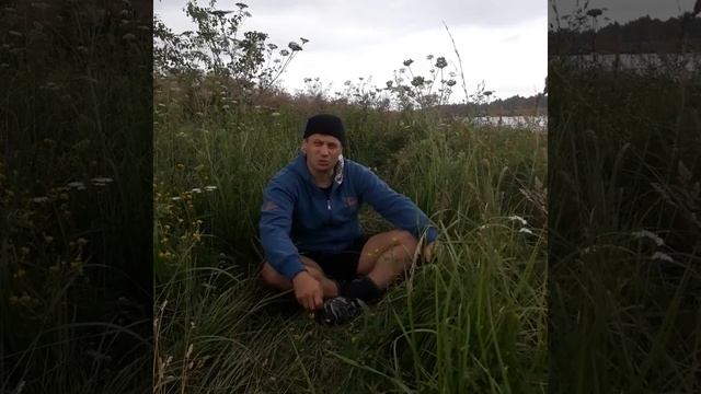 "Разговор Тараса Бульбы с кошевым". смотреть онлайн