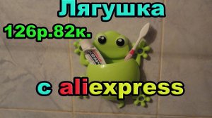 Лягушка с aliexpress. Посылка #13.