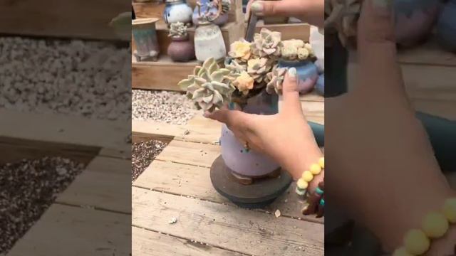 Tailored succulent handmade