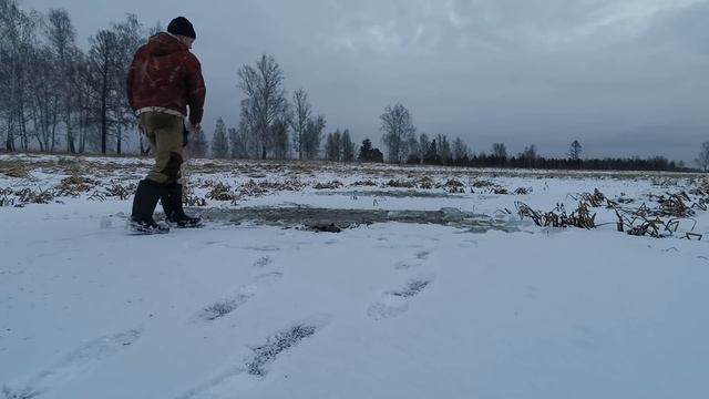 Черпаем карасей из лужи. Запасаем живцов на зиму. смотреть онлайн