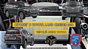 Автоподбор Омск | Проверка Toyota Land Cruiser 300 | Подбор авто Омск | Помощь при покупке авто Омск