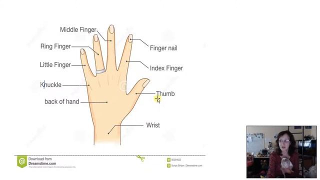 24.Когда не читается первая буква (wr, kn, gn, who). ("живая" грамматика англ.яз.) смотреть онлайн